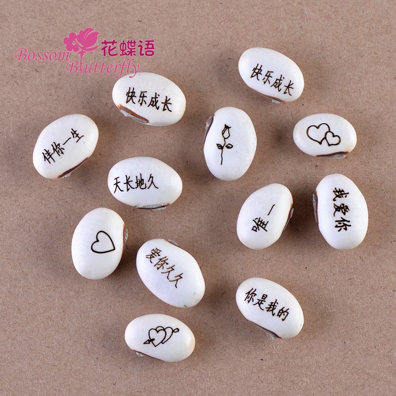 1pcs magic beans love magic beans white beans magic beans seeds plant crafts
