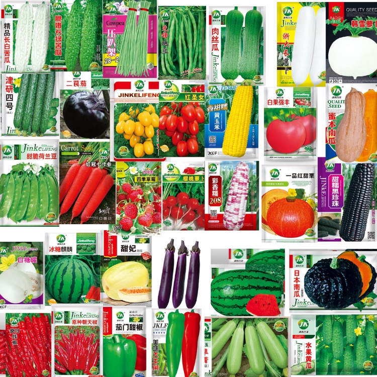 Biji Benih / Vegetable Seed /FLOWER SEEDS /SAYUR/BUNGA/BUAH BENDI/KANGKUNG/TERUNG/CILI/SAWI/BAYAM/TANAH BAJA  B