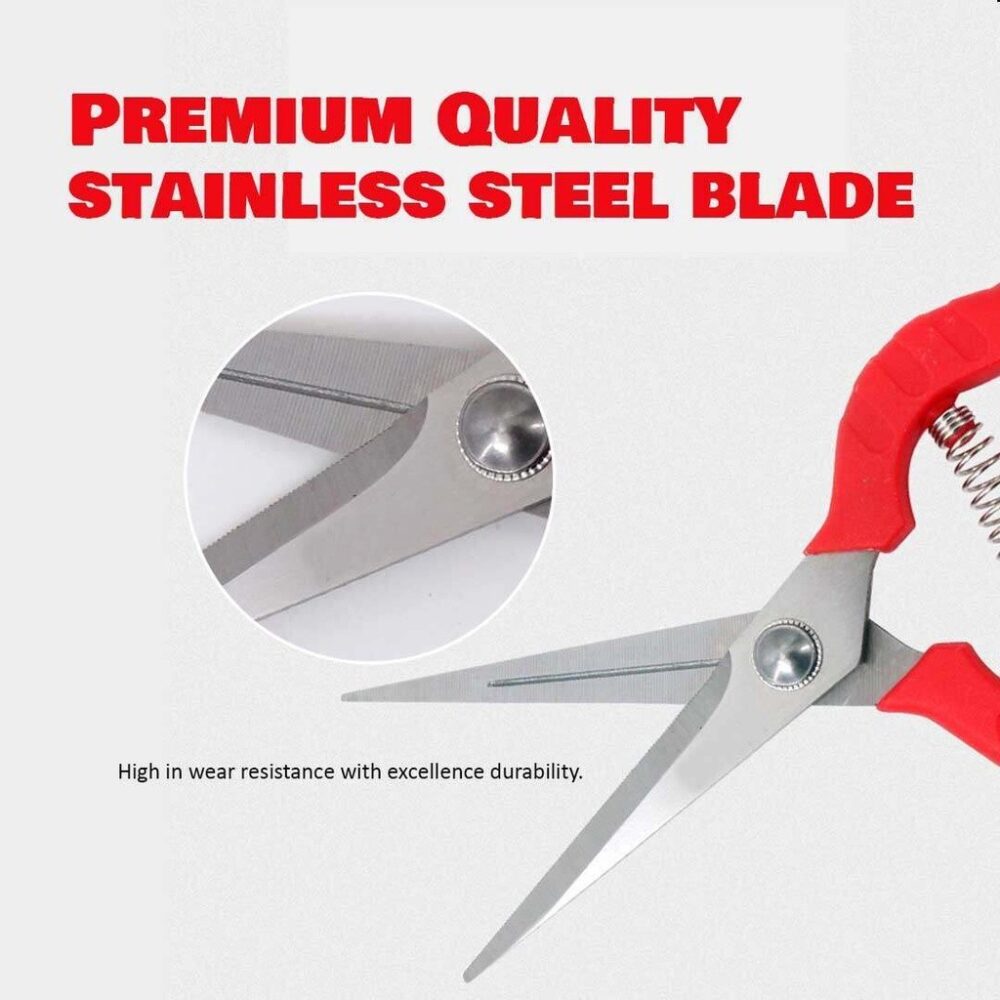 Gardening Scissors / Special Serrated Shears / Grape Pruning Shear / Gunting Berkebun / Bergerigi Khas - Image 3