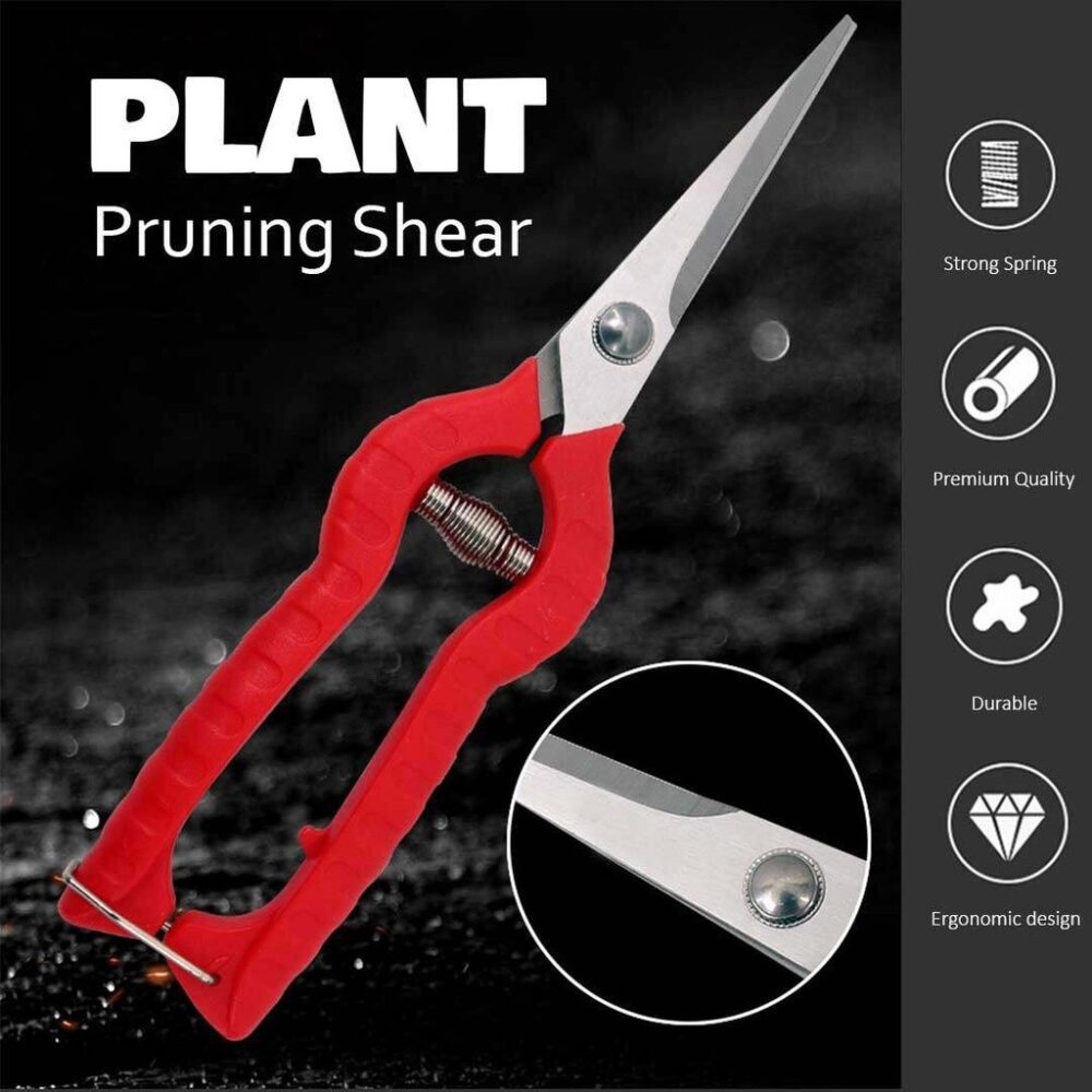 Gardening Scissors / Special Serrated Shears / Grape Pruning Shear / Gunting Berkebun / Bergerigi Khas - Image 2