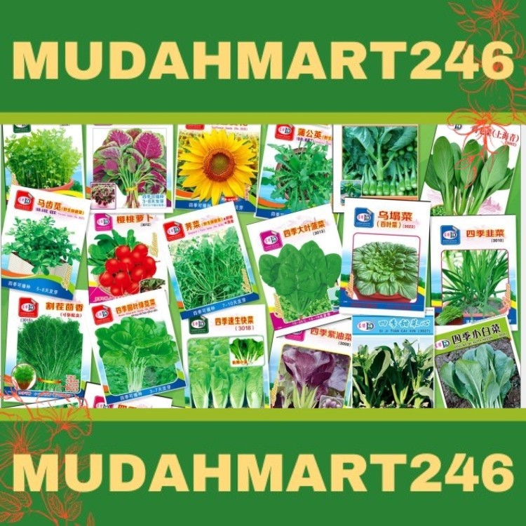 30 Pilihan  Biji Benih Sayur Low Land Seeds Garden Pasu Potted Tanam Tepi Rumah vegetable seeds  A01